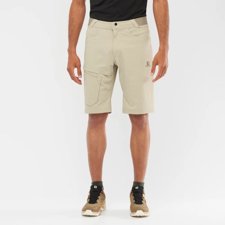 Bermudas Salomon Wayfarer Hombre Kaki | MX AGEI083